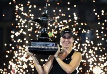 困境与启示 困境与启示